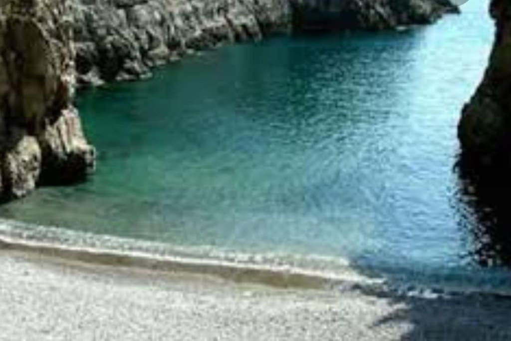 Green Apartment In Sorrento Coast Massa Lubrense Eksteriør bilde