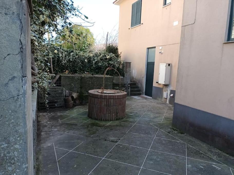 Green Apartment In Sorrento Coast Massa Lubrense Eksteriør bilde